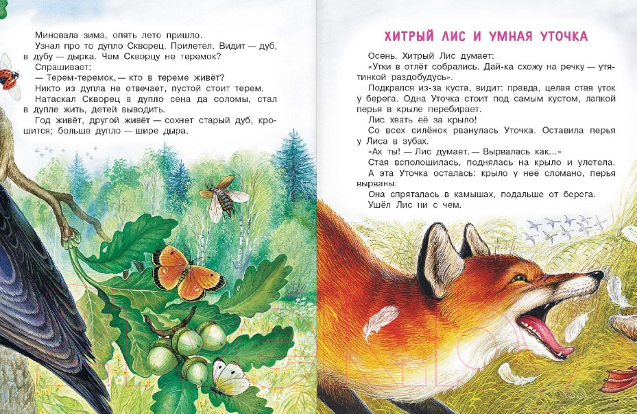 Художественная книга АСТ Чей нос лучше? Сказки (Бианки В.В.) — фото 4
