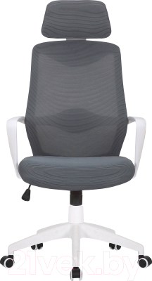 Кресло офисное Mio Tesoro Брунелло AF-C4719 (серый)