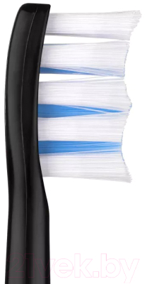 Электрическая зубная щетка Revyline RL010 / 4659 (черный)
