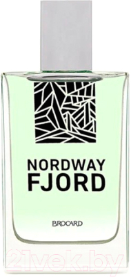 Туалетная вода Brocard Nordway Fjord (100мл)
