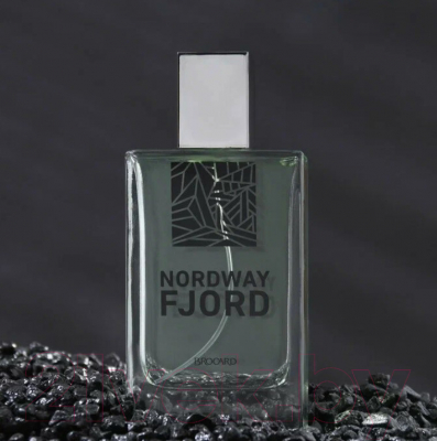 Туалетная вода Brocard Nordway Fjord (100мл)