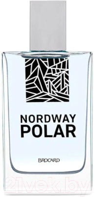 Туалетная вода Brocard Nordway Polar (100мл)