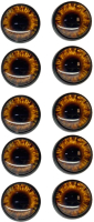 Набор глазок декоративных ХоббиБум Для игрушек радужные 16мм (10шт, коричневый) - 