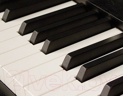 Цифровое фортепиано Kawai CA59 PR (с банкеткой)