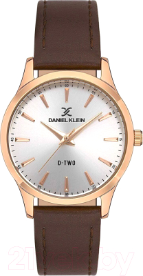 Часы наручные женские Daniel Klein 13402-5
