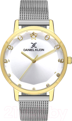 Часы наручные женские Daniel Klein 13406-4