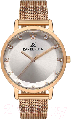 Часы наручные женские Daniel Klein 13406-5