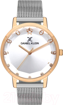 Часы наручные женские Daniel Klein 13406-6