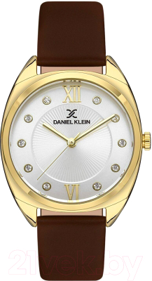 Часы наручные женские Daniel Klein 13425-2