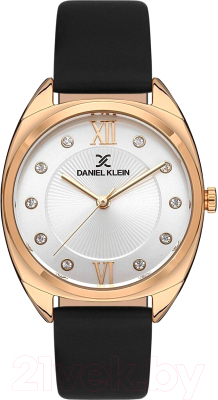 Часы наручные женские Daniel Klein 13425-3