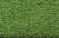 Искусственная трава Greenery Lawn NQS-1812 18мм (1x0.5м) - 