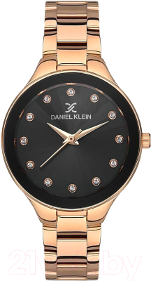 Часы наручные женские Daniel Klein 13393-6