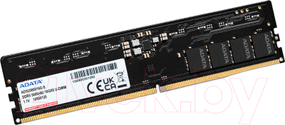 Оперативная память DDR5 A-data AD5U560016G-S
