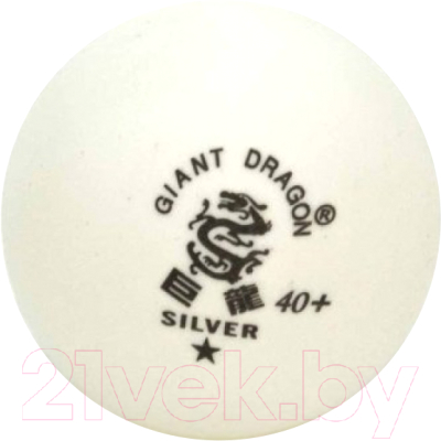 Набор мячей для настольного тенниса Giant Dragon Training Silver 1 New / 51.683.31.5 (24шт, белый)