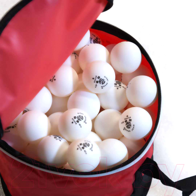 Набор мячей для настольного тенниса Giant Dragon Training Silver 1 New / 51.683.31.7 (144шт, белый)