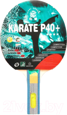 Ракетка для настольного тенниса Giant Dragon Karate 4 Start New / 51.624.03.3