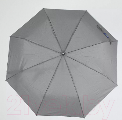 Зонт складной Rain Berry 734-0304