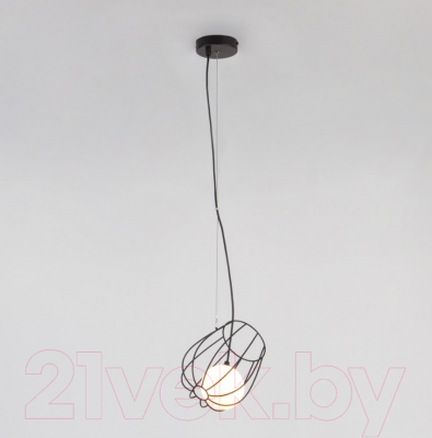 Потолочный светильник Евросвет Basket 50138/1 (черный)