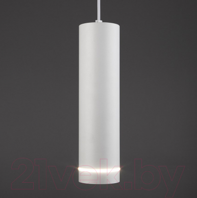 Потолочный светильник Евросвет Topper DLR023 (матовый белый)