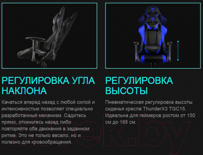 Изображение товара Кресло геймерское ThunderX3 TGC15 (черный)