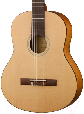 Акустическая гитара Ortega RST5M