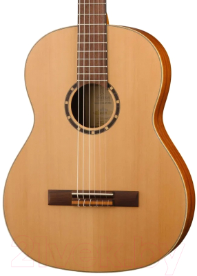 Акустическая гитара Ortega R131SN