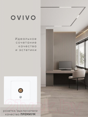 Розетка Ovivo 600-000301-225 (белый)