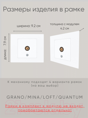 Розетка Ovivo 600-000301-225 (белый)
