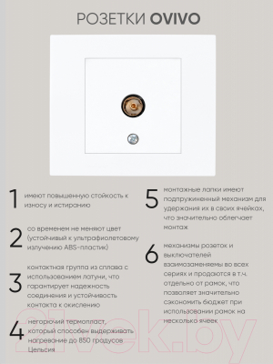 Розетка Ovivo 600-000301-225 (белый)