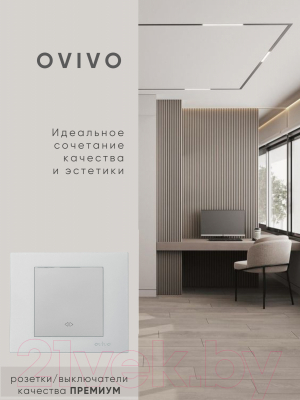 Выключатель Ovivo 600-000210-214 (серебристый)