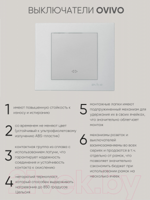 Выключатель Ovivo 600-000210-214 (серебристый)