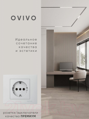 Розетка Ovivo 600-000310-217 (серебристый)