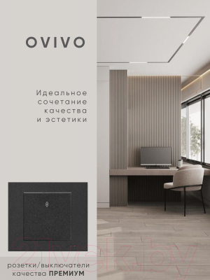 Выключатель Ovivo 600-000217-209 (черный)