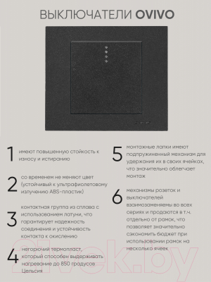Выключатель Ovivo 600-000217-201 (черный)