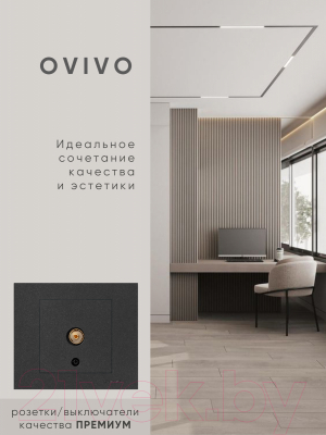 Розетка Ovivo 600-000317-225 (черный)