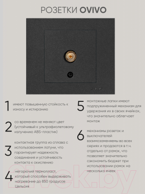 Розетка Ovivo 600-000317-225 (черный)
