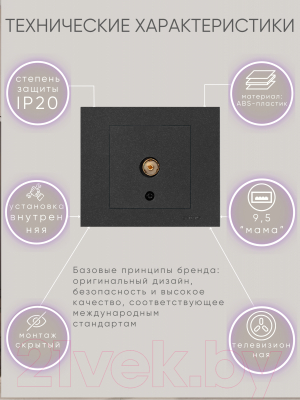 Розетка Ovivo 600-000317-225 (черный)