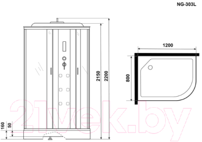 Душевая кабина Niagara NG-303-01L 120x80x220