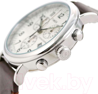 Часы наручные мужские Timex TW2T21000