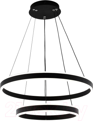 Потолочный светильник Citilux Дуэт CL719641