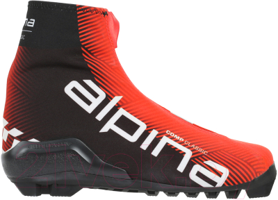 Ботинки для беговых лыж Alpina Sports Comp Cl / 53721 (р-р 44)