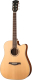Электроакустическая гитара Parkwood S26-GT (с чехлом) - 
