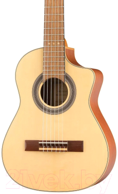 Акустическая гитара Ortega RQ38