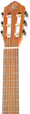 Акустическая гитара Ortega RQ38