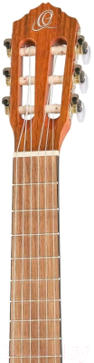 Акустическая гитара Ortega RQ25