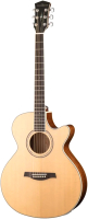 Электроакустическая гитара Parkwood S67 (с чехлом) - 