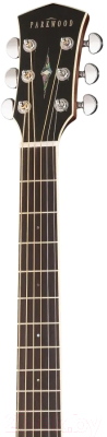 Электроакустическая гитара Parkwood S67 (с чехлом)