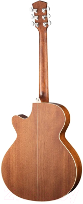 Электроакустическая гитара Parkwood S67 (с чехлом)