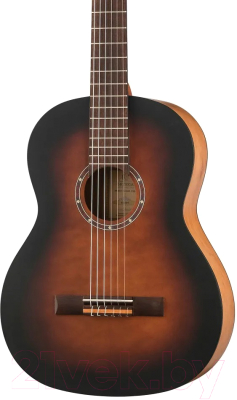 Акустическая гитара Ortega R55BFT (коричневый)