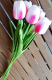 Искусственный букет ForGarden Тюльпаны / BN10693 (5шт, розово-малиновый) - 